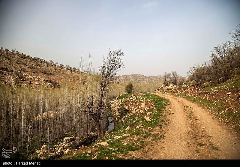 طبیعت بهاری کرمانشاه/ گزارش تصویری