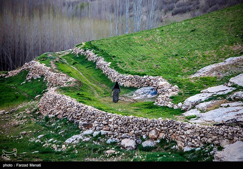 طبیعت بهاری کرمانشاه/ گزارش تصویری