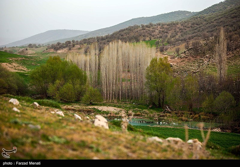 طبیعت بهاری کرمانشاه/ گزارش تصویری