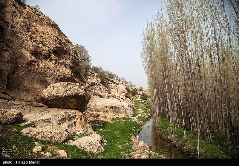 طبیعت بهاری کرمانشاه/ گزارش تصویری