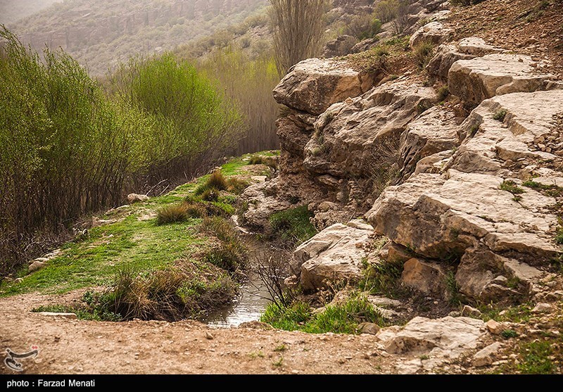 طبیعت بهاری کرمانشاه/ گزارش تصویری