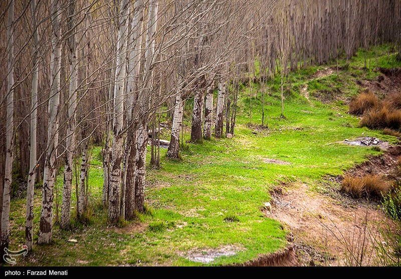 طبیعت بهاری کرمانشاه/ گزارش تصویری