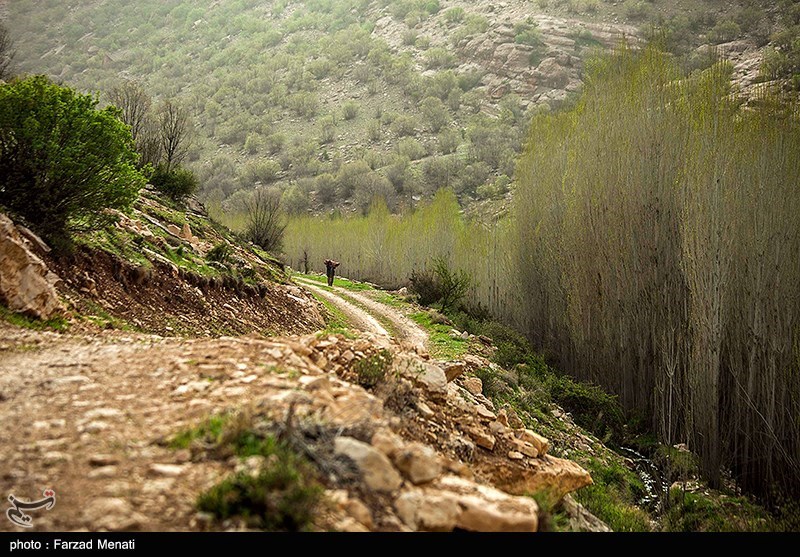 طبیعت بهاری کرمانشاه/ گزارش تصویری