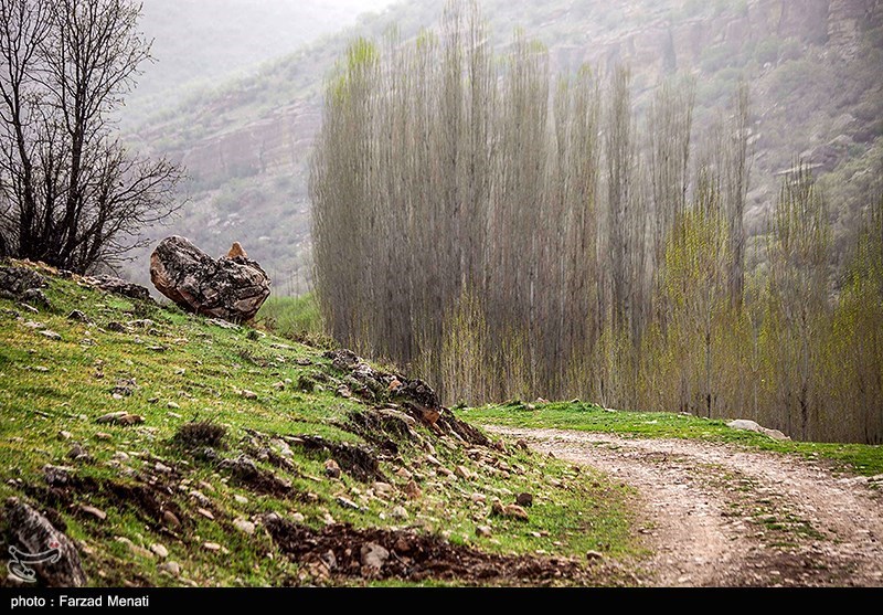 طبیعت بهاری کرمانشاه/ گزارش تصویری