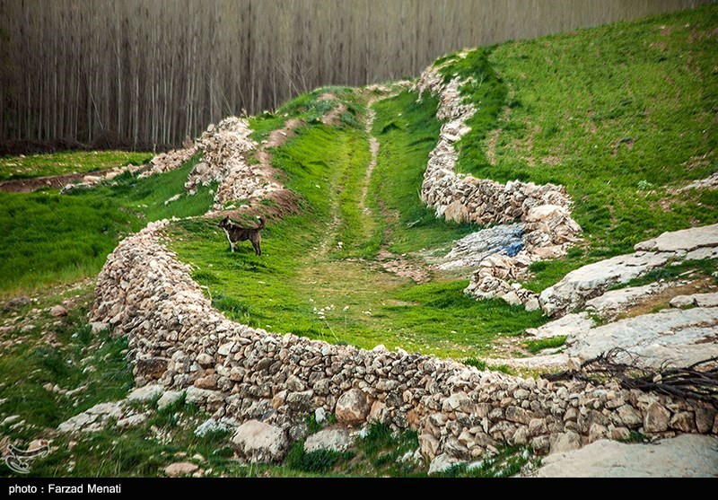 طبیعت بهاری کرمانشاه/ گزارش تصویری