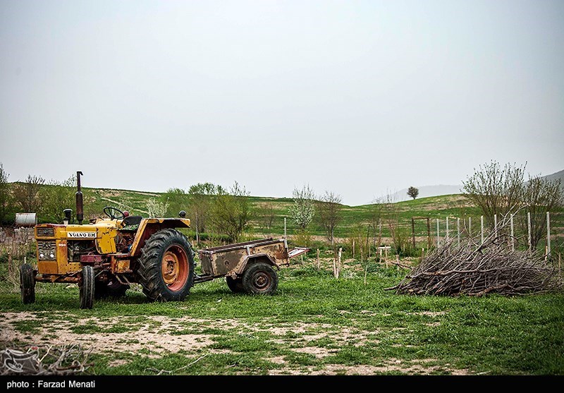 طبیعت بهاری کرمانشاه/ گزارش تصویری