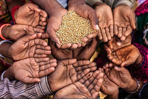 هشدار سازمان ملل متحد: امنیت غذایی جهان در خطر است!