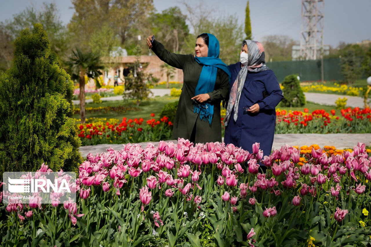جشنواره گل لاله در اراک/ گزارش تصویری