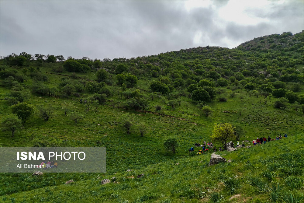 زیبایی‌های دره «ارغوان»/ گزارش تصویری