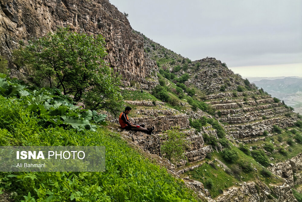 زیبایی‌های دره «ارغوان»/ گزارش تصویری