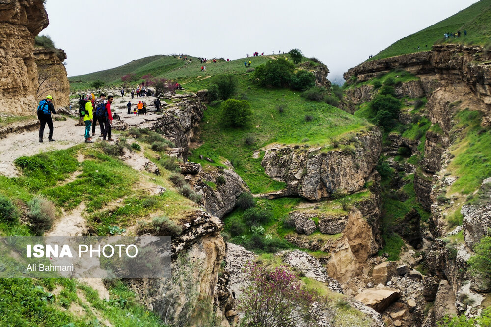 زیبایی‌های دره «ارغوان»/ گزارش تصویری