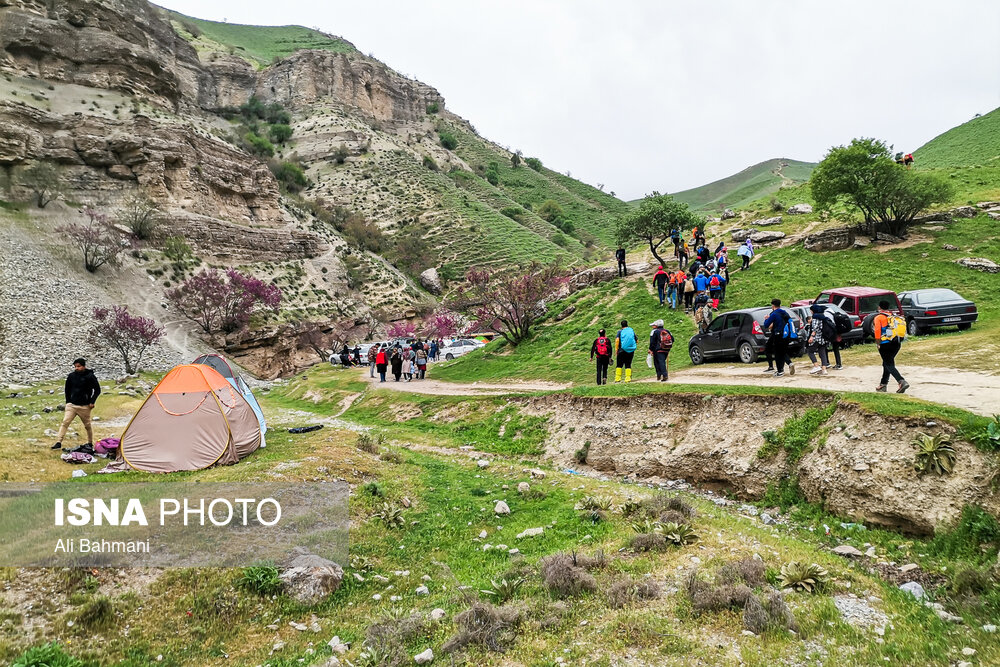 زیبایی‌های دره «ارغوان»/ گزارش تصویری