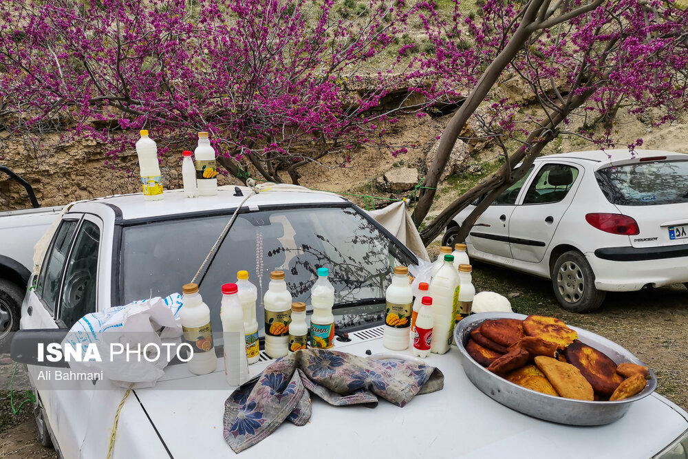 زیبایی‌های دره «ارغوان»/ گزارش تصویری