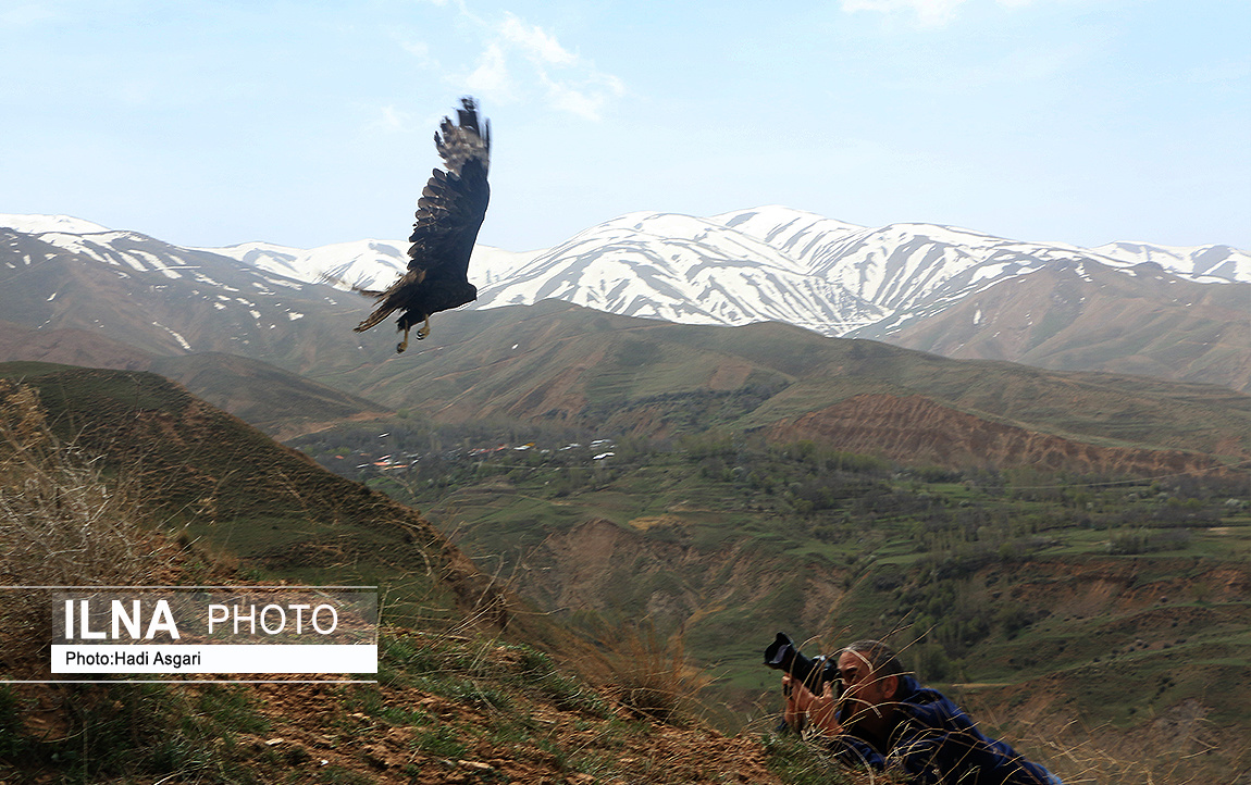 «شوق پرواز» در البرز/ گزارش تصویری