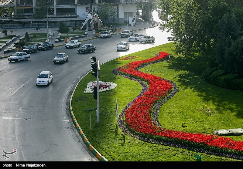 رنگین کمان گل‌های لاله در مشهد/ گزارش تصویری