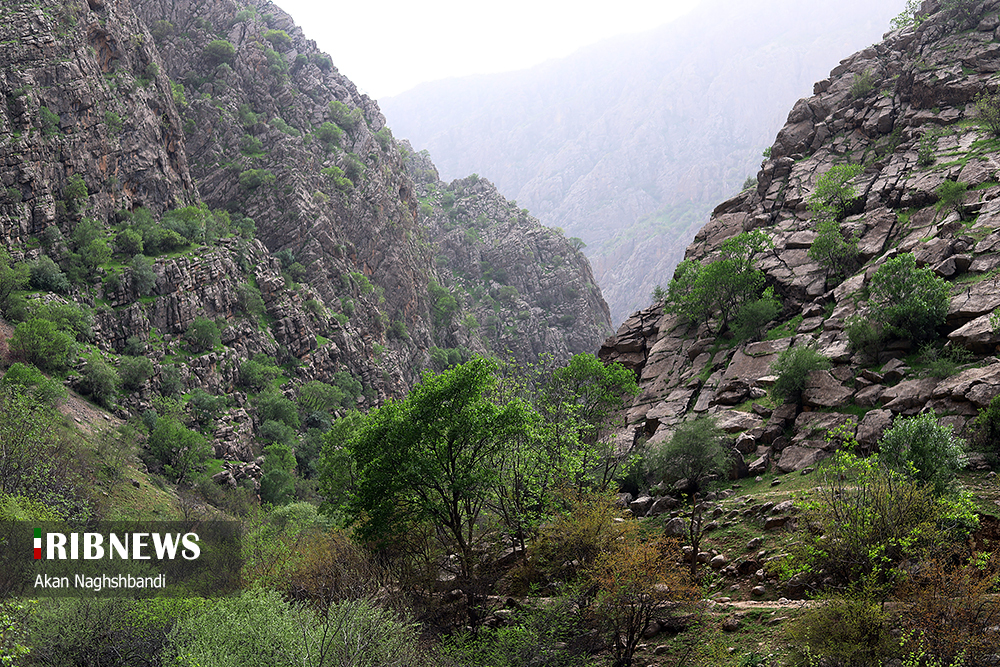 بهشت گمشده کردستان/ گزارش تصویری