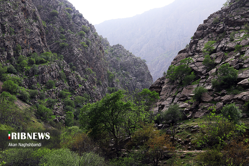 بهشت گمشده کردستان/ گزارش تصویری