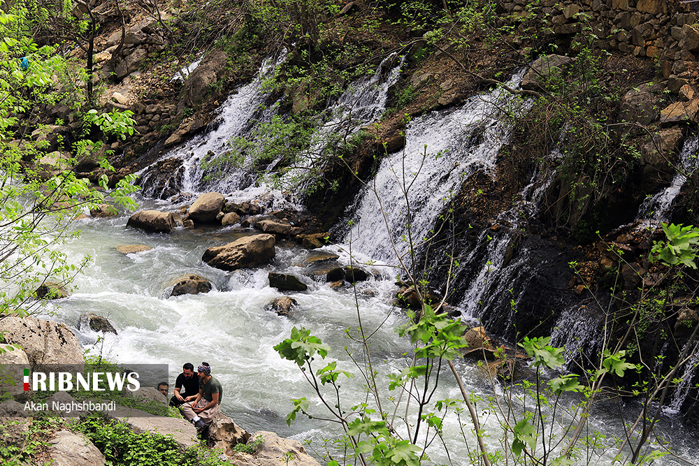 بهشت گمشده کردستان/ گزارش تصویری