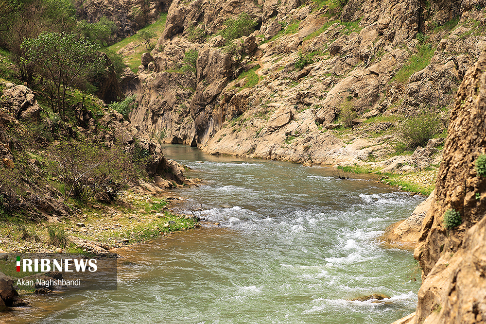 بهشت گمشده کردستان/ گزارش تصویری