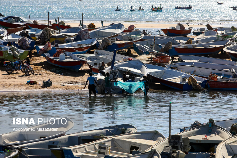 «چابهار» سرزمین عجایب/ گزارش تصویری