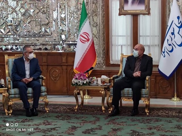 دیدار معاون پارلمانی رئیس‌جمهور با قالیباف