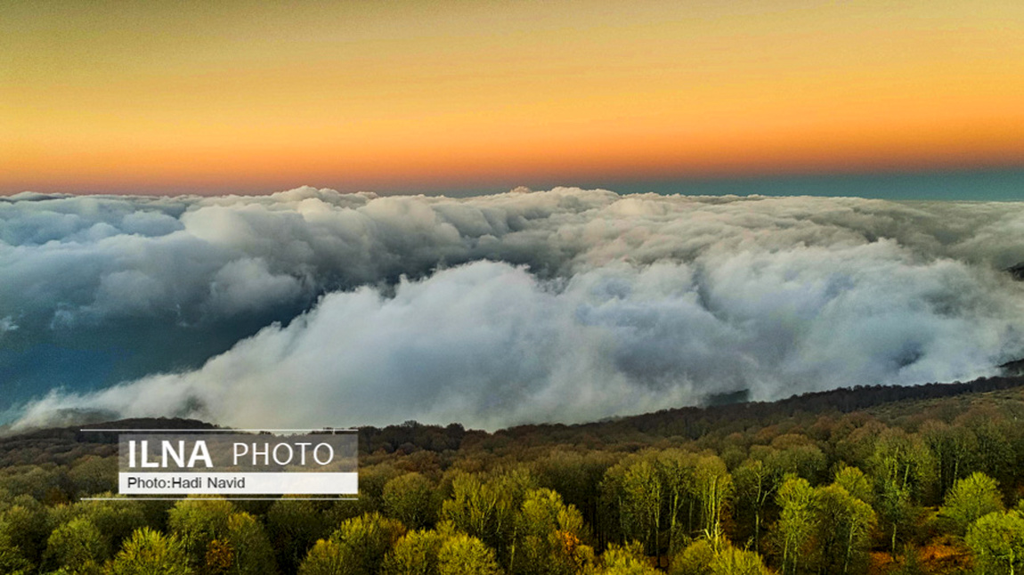 طبیعت استان گلستان/ گزارش تصویری