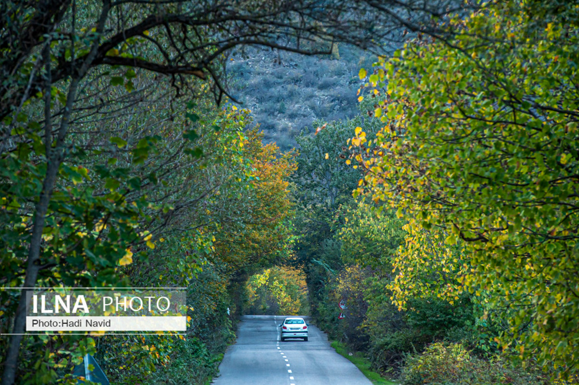 طبیعت استان گلستان/ گزارش تصویری