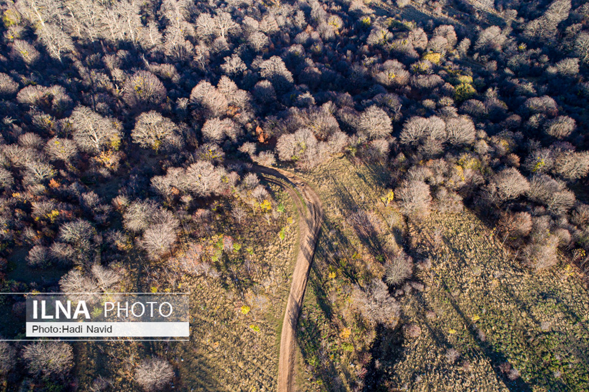 طبیعت استان گلستان/ گزارش تصویری