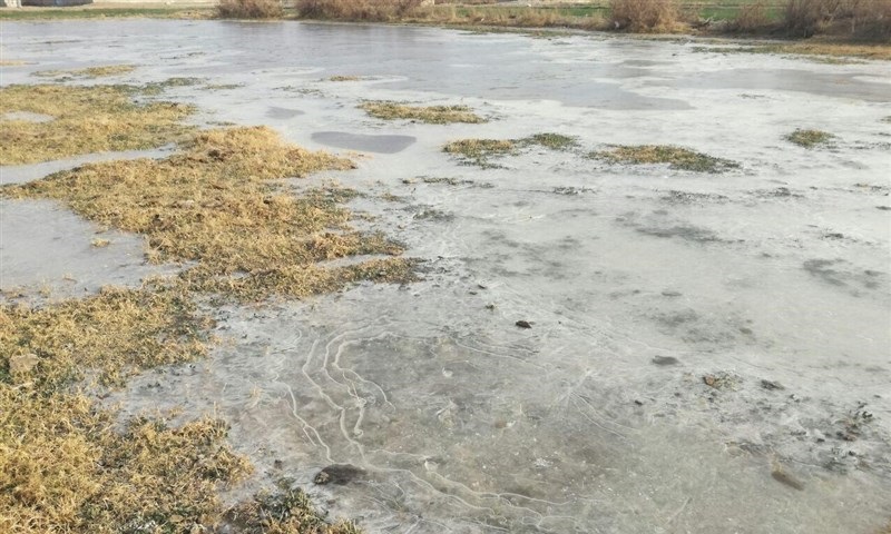 سرمای هوا و یخبندان شبانه در نیمه شمالی سیستان و بلوچستان