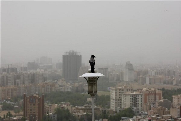 هوای تهران برای همه «ناسالم» است
