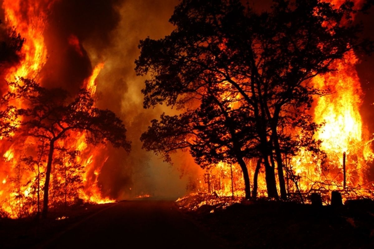 آتش در جنگل‌های شرق مازندران مهار شد