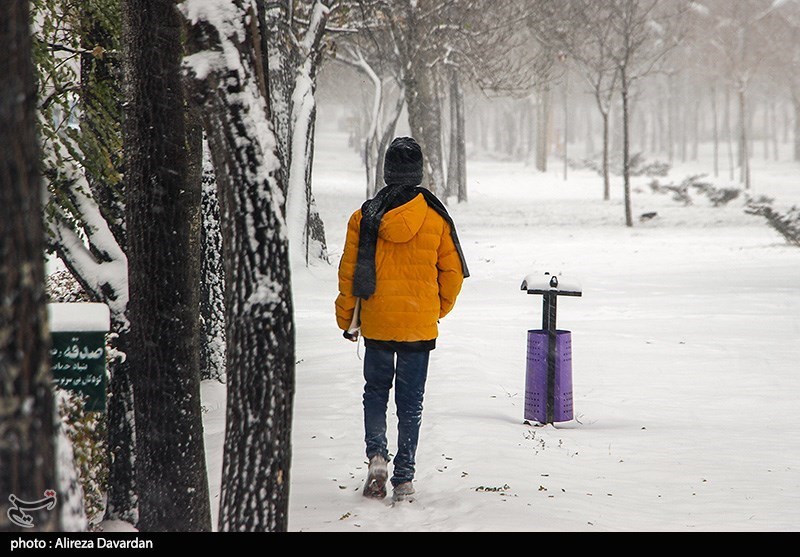 بارش برف در اردبیل/ گزارش تصویری