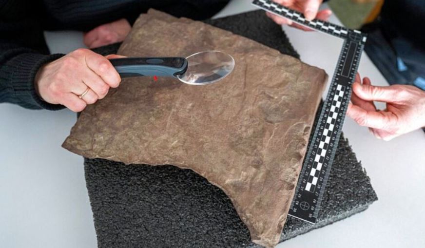 کشف «قدیمی‌ترین» سنگ رونی جهان در نروژ