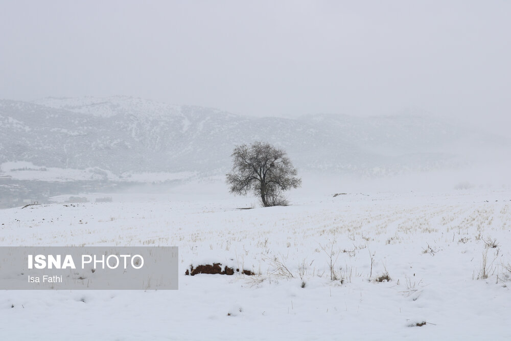 بارش اولین برف زمستانی یاسوج/ گزارش تصویری