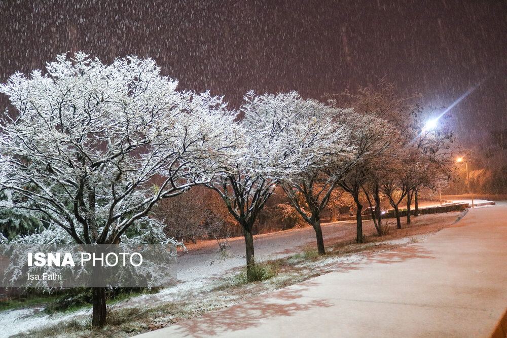 بارش اولین برف زمستانی یاسوج/ گزارش تصویری