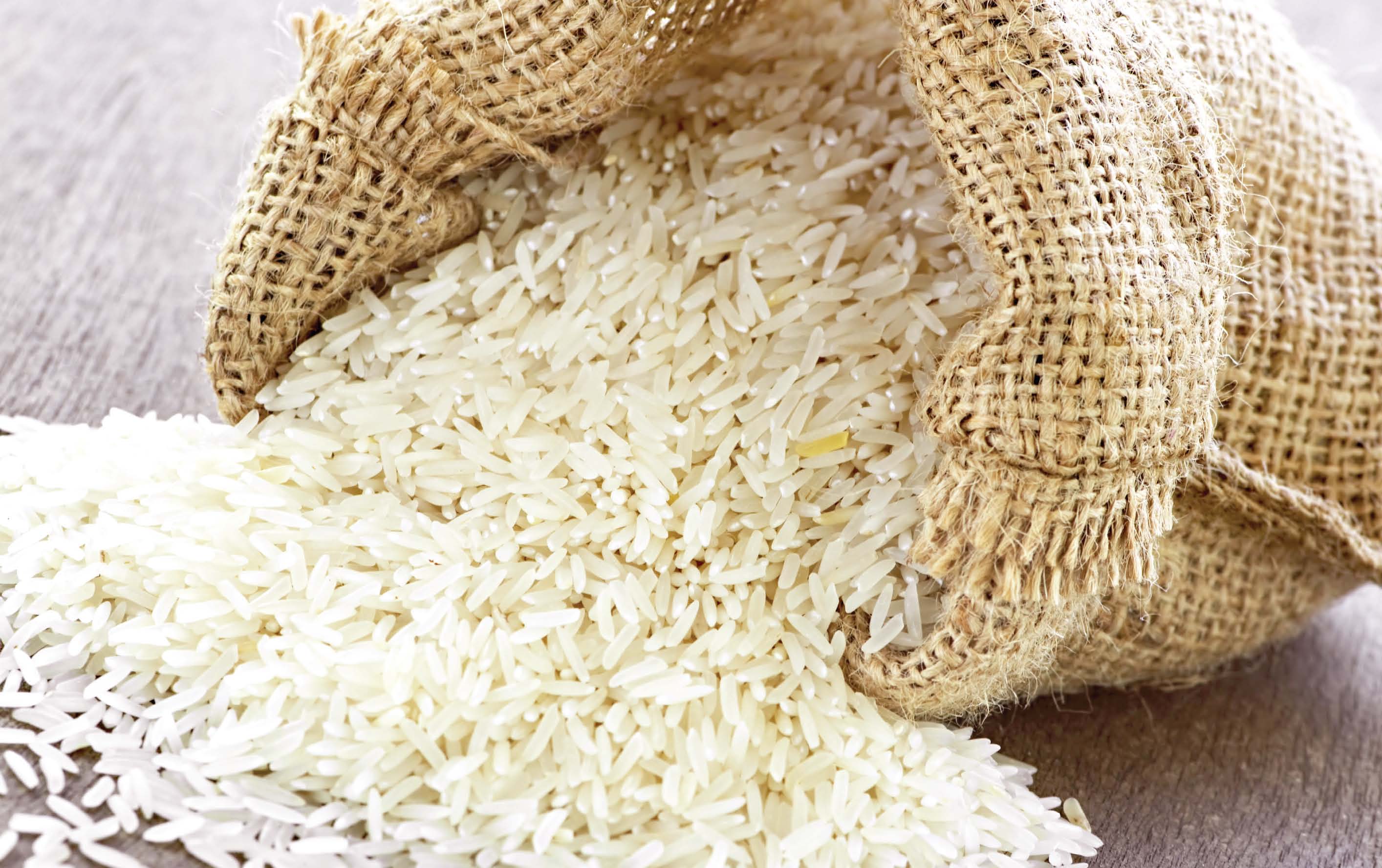 ارز واردات برنج مشخص نیست!