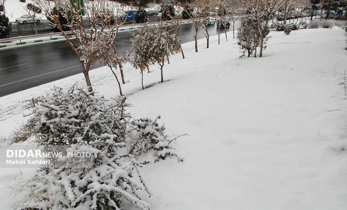 بارش‌ برف در تهران خطرناک است؟