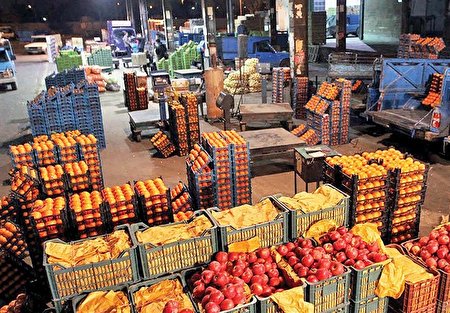 قیمت میوه در میادین و سطح شهر؛ اختلاف ۳۹ درصدی!