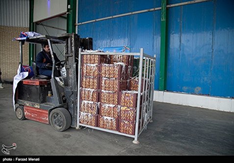 توزیع ۱۰۰ تن میوه شب عید در قشم