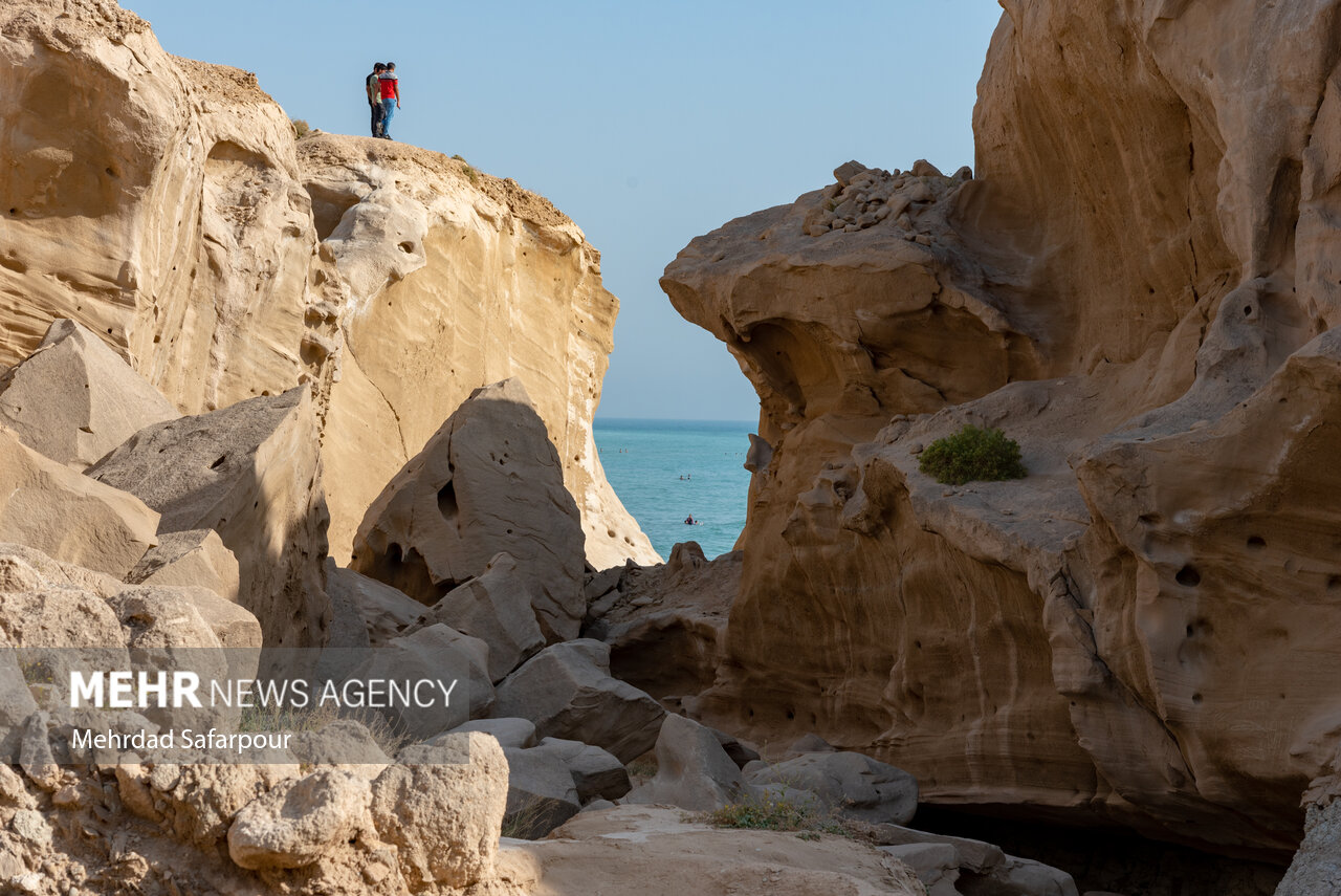 پارس‌جنوبی، طبیعت بکر خلیج‌ فارس/ گزارش تصویری