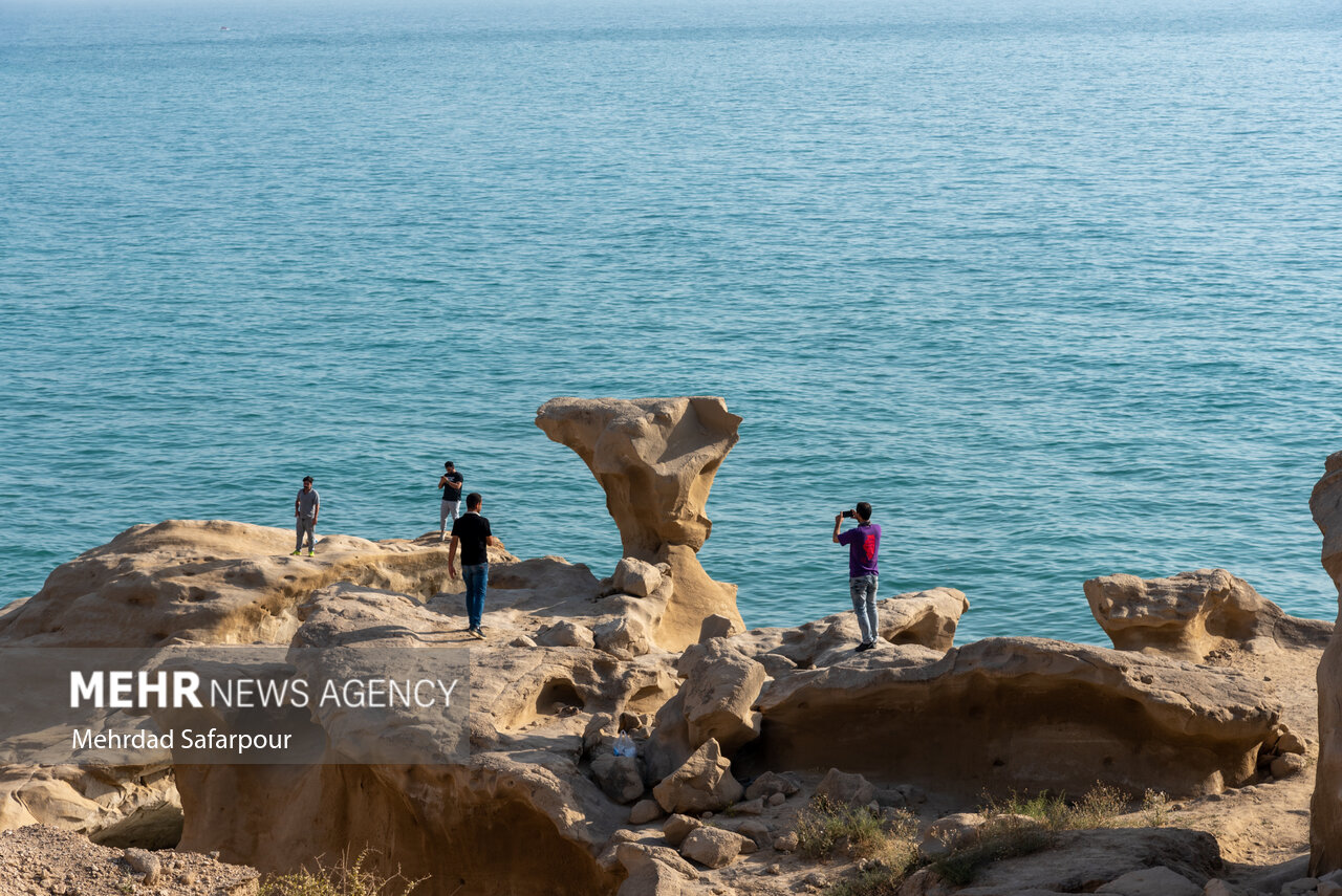 پارس‌جنوبی، طبیعت بکر خلیج‌ فارس/ گزارش تصویری