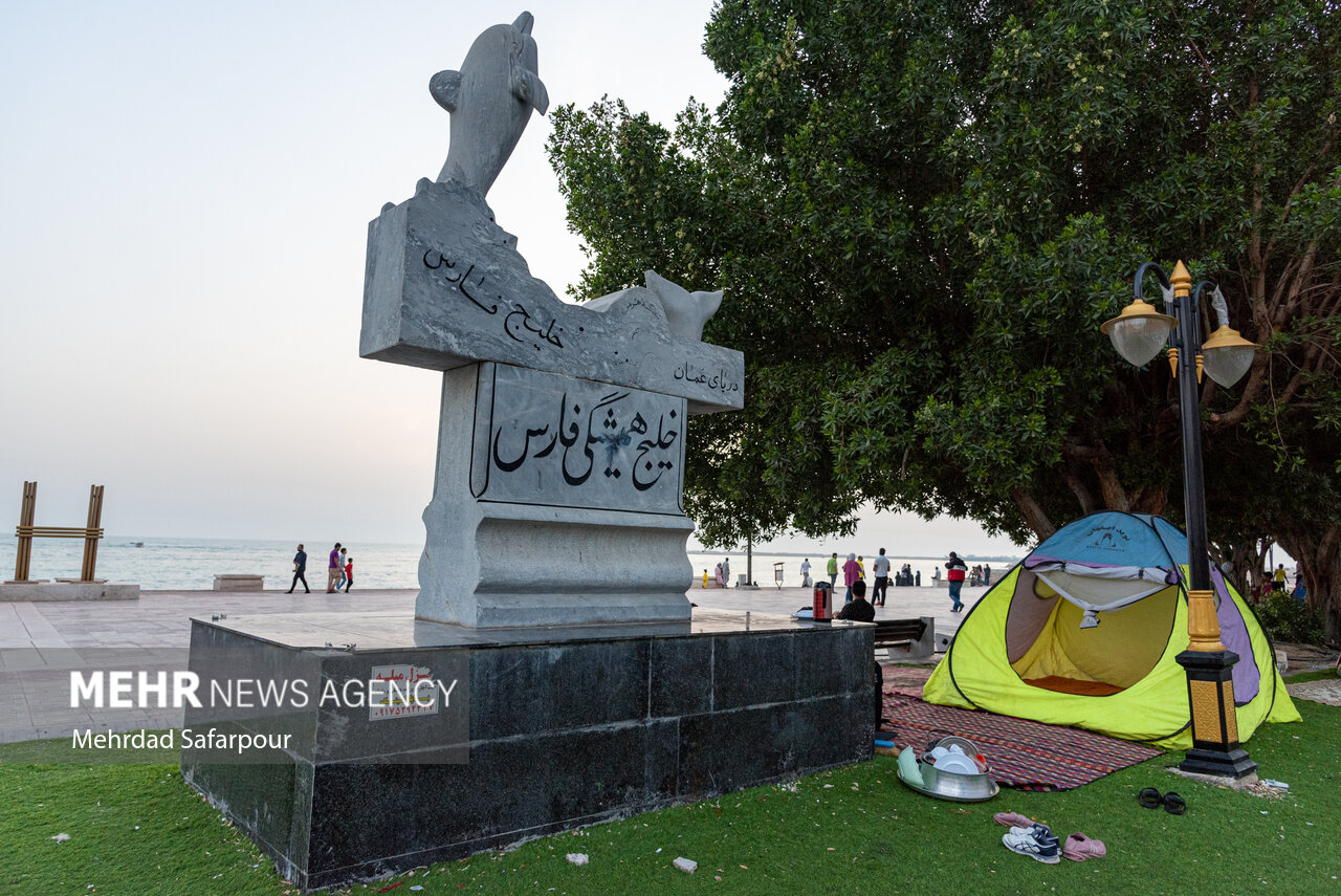 پارس‌جنوبی، طبیعت بکر خلیج‌ فارس/ گزارش تصویری