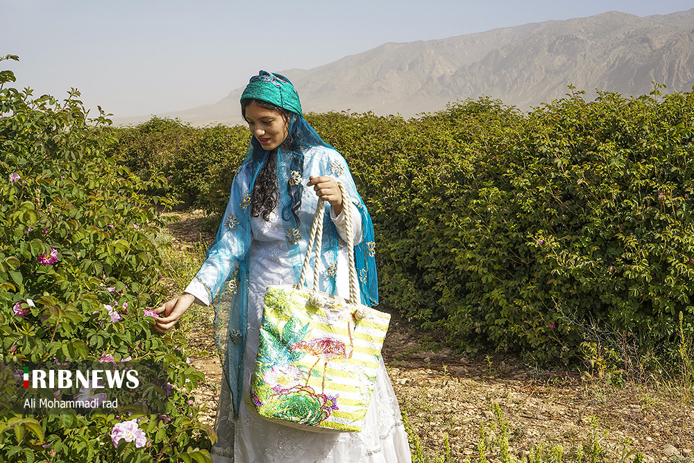 جشنواره گل و گلاب میمند استان فارس/ گزارش تصویری