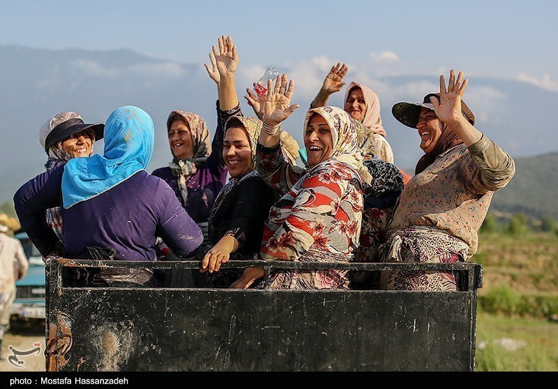 به‌ مناسبت روز جهانی کار و کارگر/ گزارش تصویری