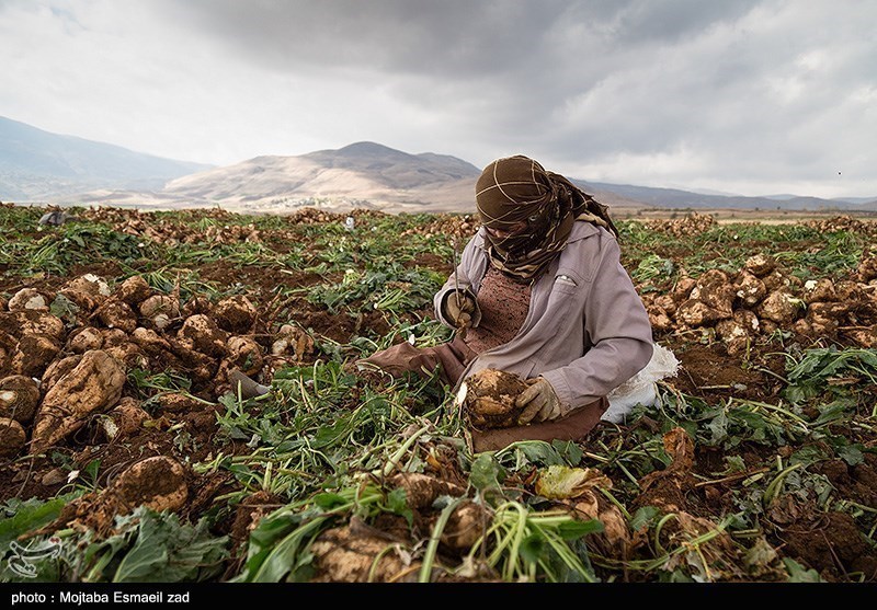 به‌ مناسبت روز جهانی کار و کارگر/ گزارش تصویری