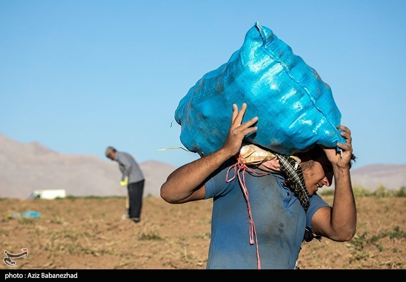 به‌ مناسبت روز جهانی کار و کارگر/ گزارش تصویری