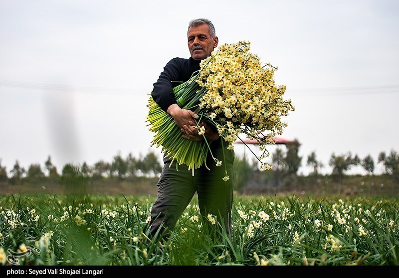 به‌ مناسبت روز جهانی کار و کارگر/ گزارش تصویری