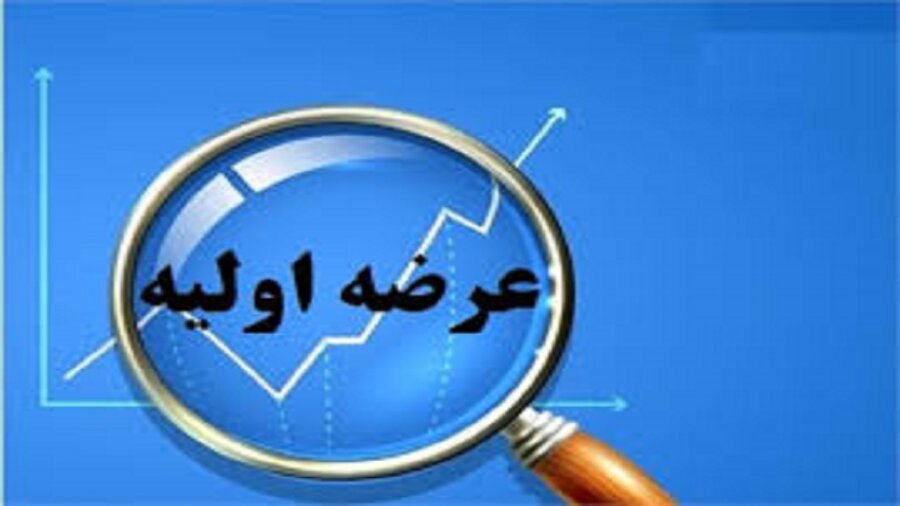 دومین عرضه اولیه امسال بازار سرمایه مشخص شد
