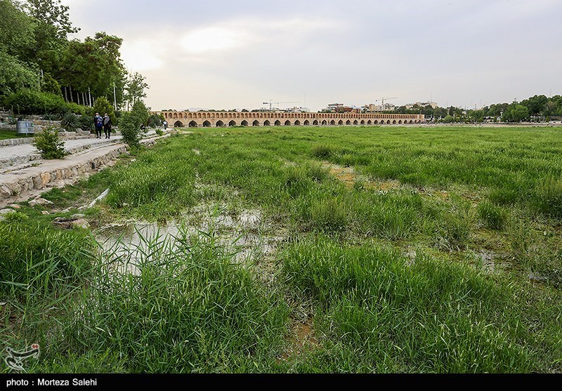 زاینده رود نیمه‌جان/ گزارش تصویری