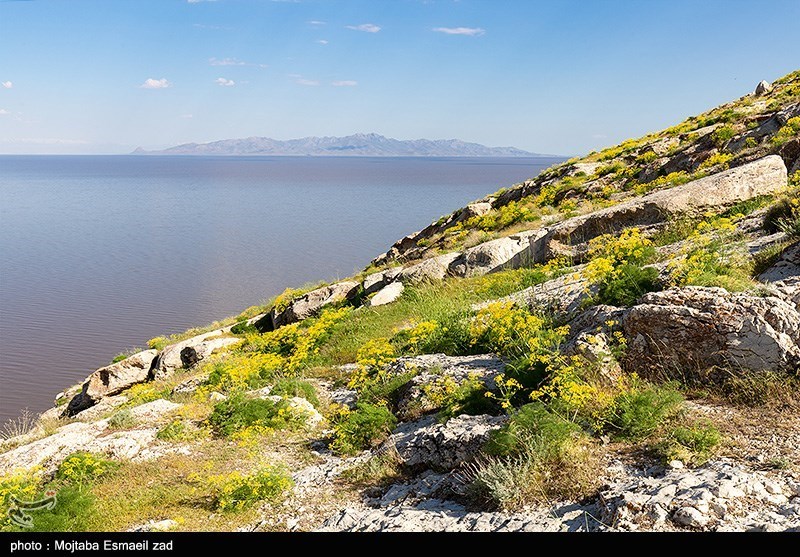 طبیعت بهاری منطقه تاریخی کاظم داشی ارومیه/ گزارش تصویری